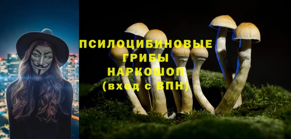 СК Арсеньев