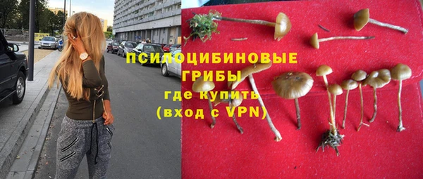 винт Баксан