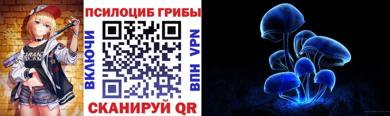Купить  Кызыл  Галлюциногенные грибы ЛСД 